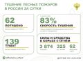 За прошедшие сутки в 17 регионах России потушили 62 лесных пожара