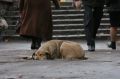 Ну вот и точка в долгом споре
