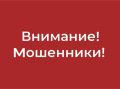 Осторожно: мошенники рассылают фейковые штрафы за парковку