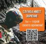 Участников специальной военной операции активно поддерживает государство