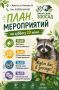 Суббота в Иркутске: животные, творчество и настольные игры