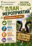 Воскресная программа в Иркутской области: от животных до творчества