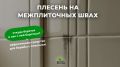 Плесень на межплиточных швах: как её победить?