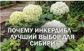 ��������� ����������: �������� ����� ��� �������� ������� ����� � ������