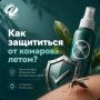 Встреча с комарами летом неизбежна, стоит только наступить теплым вечерам