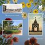 Иркутск – город цветов: от Красной книги до городских клумб