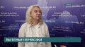 Перевозка льготных категорий граждан в общественном транспорте — эту тему обсудили в правительстве Иркутской области