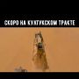 Иркутские автомобилисты нашли утешение в мемах на фоне дефицита бензина