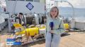 Обстановку на дне Байкала в районе бывшего целлюлозно-бумажного комбината обследовали ученые Лимнологического института