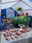 Традиционный фестиваль земляники и жимолости пройдет в Иркутске