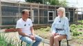 Дневник большого юбилея: счастье летает – экскурсия в питомник голубей