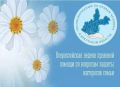 Правовая помощь семье: неделя консультаций в Иркутске