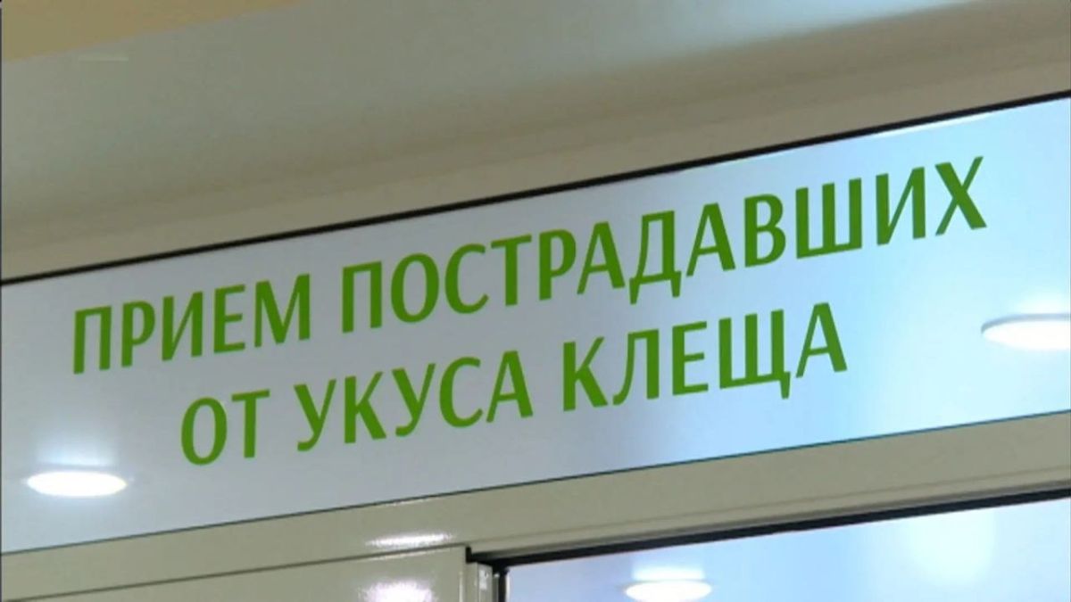Больше 18 тысяч жителей Иркутской области пострадали от укусов клещей с начала сезона