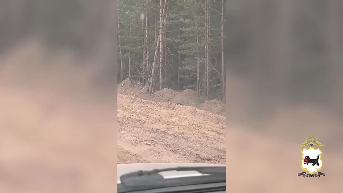 Мишка косолапый по лесу идет