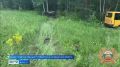 ��������� ���� ��������� ����������� �� ����� ��� �� �������� ��������� � ���������� ������