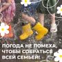 Праздник семьи, любви и верности в Иркутске: программа и регистрация