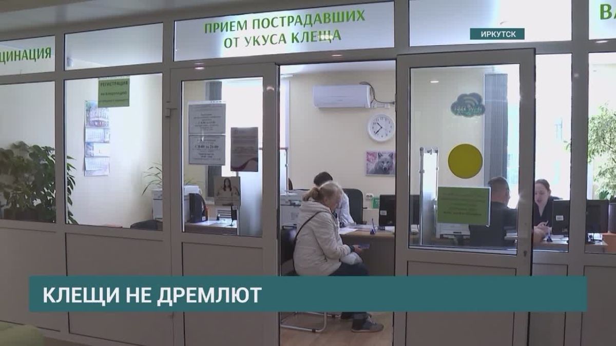 Клещи не дремлют: паукообразные атаковали жителей Приангарья 19 тысяч раз с начала эпидсезона