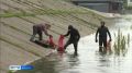 ��������� ���������. ���������� ������� ��� ������ � ��������