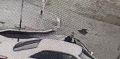 В Иркутске сотрудники Госавтоинспекции разыскивают водителя, который совершил наезд на двух несовершеннолетних и скрылся