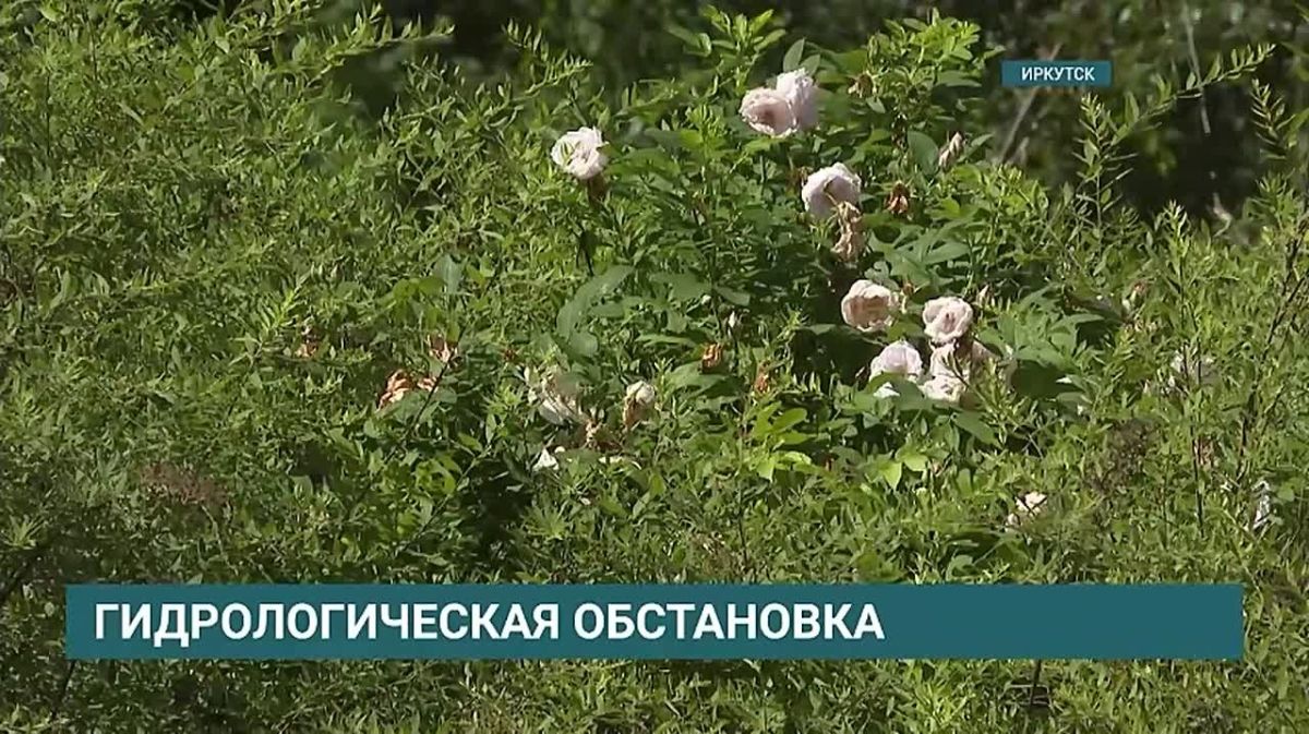 Сильные дожди ожидаются в северо-восточных районах Иркутской области