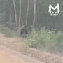 ������� ����� � ����� �� ������� � ������������ ������