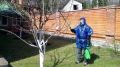Как правильно обрабатывать деревья весной: советы и рекомендации