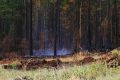 В Иркутской области за три дня ликвидировали один лесной пожар