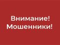 Мошенники рассылают лживые сообщения о нарушении режима тишины