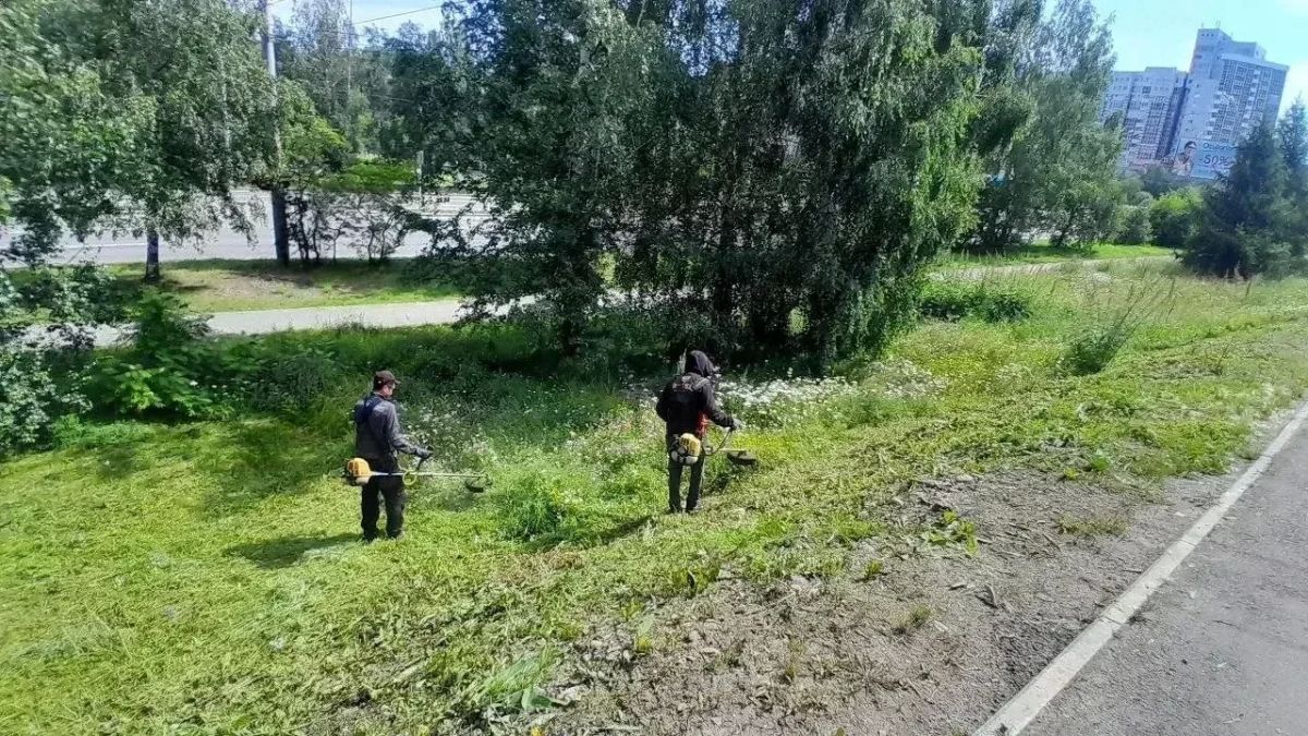 Уборку дорог и тротуаров ежедневно проводят в Иркутске Уборку дорог и тротуаров ежедневно проводят в Иркутске