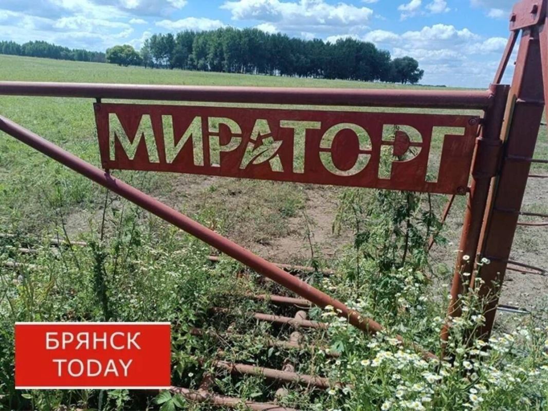 Хохлы напали на свиноферму