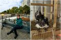 «Живет с шестью кошками и развязывает шнурки»: сибирячка выходила сорочонка, выпавшего из гнезда, и назвала его Серега