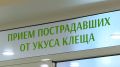 Больше 19 тысяч жителей Иркутской области пострадали от укусов клещей в этом сезоне