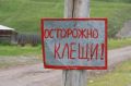 «Легко спутать с соринкой или маленькой родинкой»