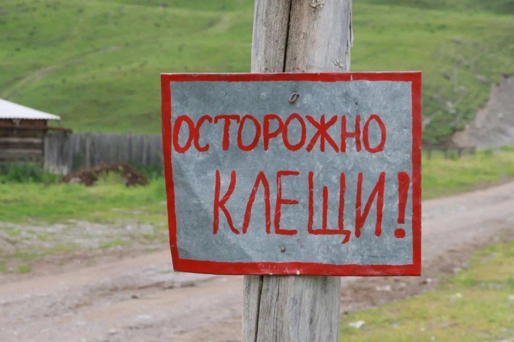 «Легко спутать с соринкой или маленькой родинкой»