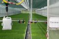������������ ������������ ���� � ��������� ������������� � ����������