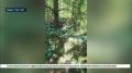 12 ������� ��� �������� ���������� � ���� ����������� � ���������� ��������� �������������� ��������
