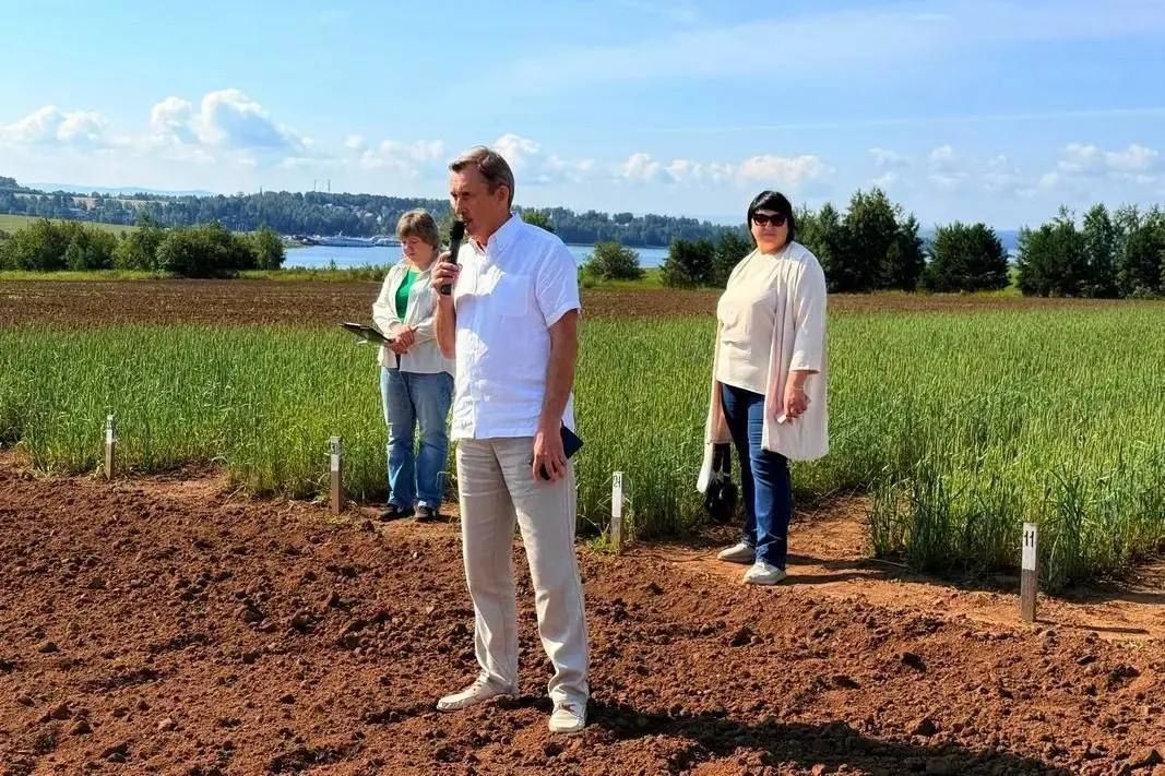 Иркутский аграрный университет ускоряет селекцию сои и рапса Иркутский аграрный университет ускоряет селекцию сои и рапса