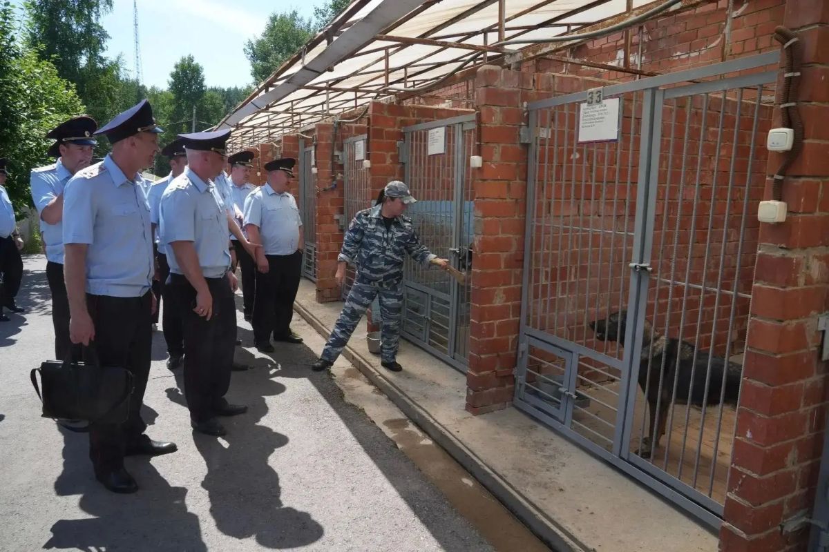 В Иркутске руководители территориальных отделов полиции приняли участие в учебно-методическом сборе В Иркутске руководители территориальных отделов полиции приняли участие в учебно-методическом сборе