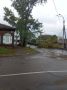 #нампишут. На улице Радищева, на перекрёстке с Госпитальной упал тополь, полностью перекрыв магистраль