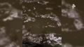 ���������� ������ �� 4 ���� "������" ������� � � ������� ������ ������ �������� �������� ����� �������