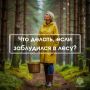 Грибникам на заметку. Сезон сбора грибов в самом разгаре