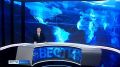 От возвращения к мирной жизни — до защиты интересов страны в информационном пространстве