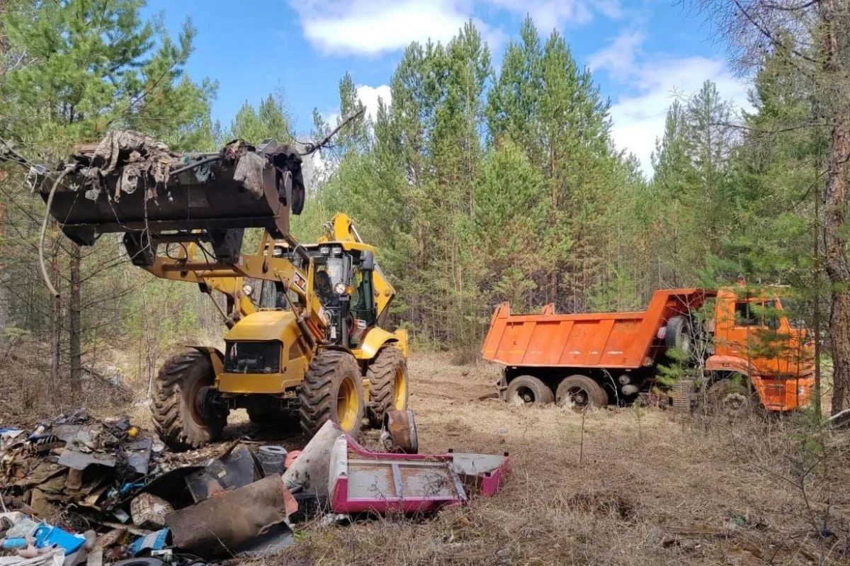 Субботники проведут осенью во всех 37 лесничествах Иркутской области Субботники проведут осенью во всех 37 лесничествах Иркутской области