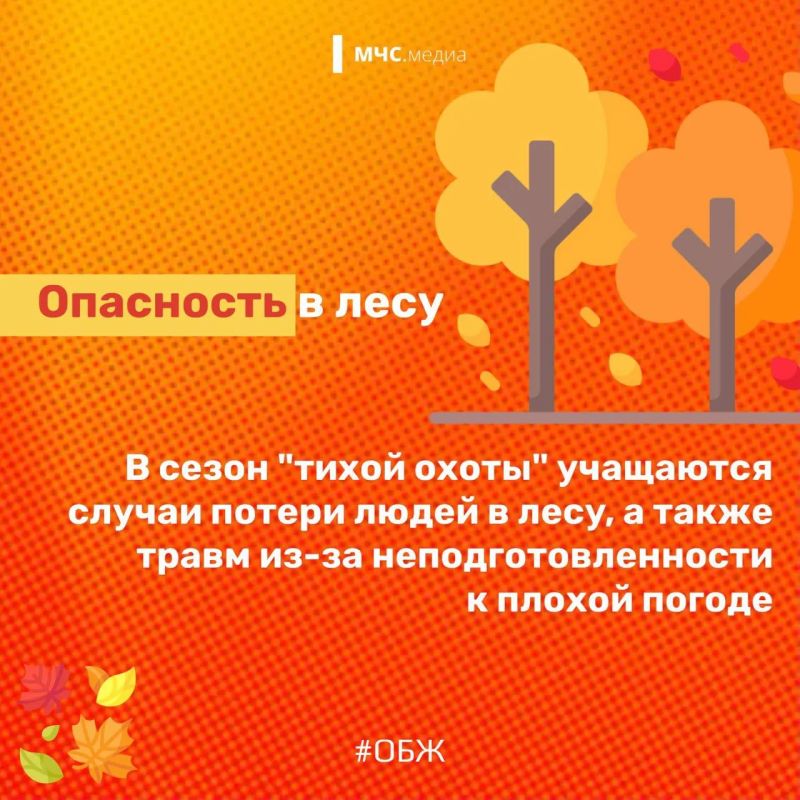 Чтобы ближайшие три месяца не были омрачены всевозможными происшествиями, очень важно знать ключевые осенние риски и следовать правилам безопасного поведения Чтобы ближайшие три месяца не были омрачены всевозможными происшествиями, очень важно знать ключевые осенние риски и следовать правилам безопасного поведения