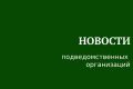 ГАУИО «Ирэкспертиза» выданы положительные заключения государственной экспертизы проектной документации в части проверки достоверности определения сметной стоимости в период с 17.08.2026-21.08.2026 по объектам экспертизы: