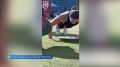 ���� ������� ��������� ������� ��������� ������� �� ����� �������� ����� �������� ������� ����� ��λ