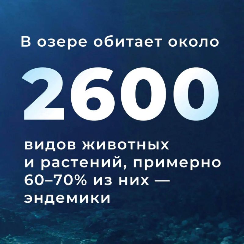 Традиционно в конце августа — начале сентября в России отмечается День озера Байкал Традиционно в конце августа — начале сентября в России отмечается День озера Байкал