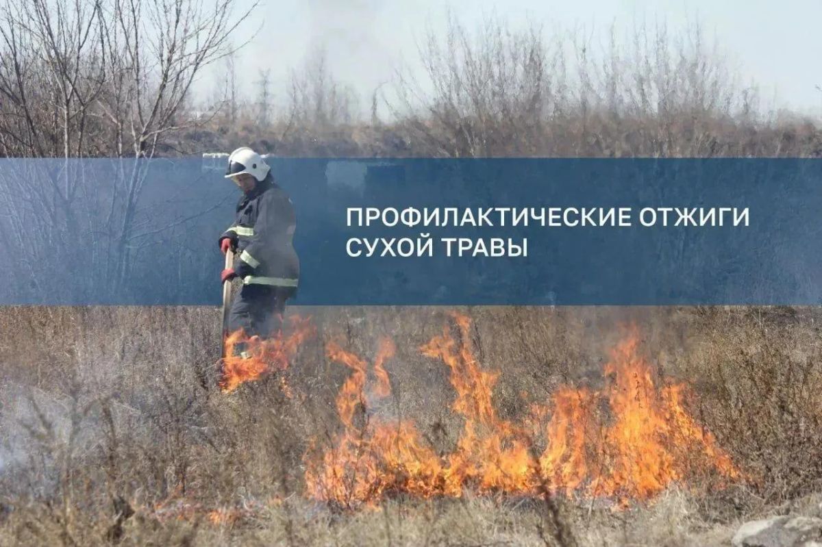 В Иркутске готовятся к пожароопасному сезону: утвержден план отжигов и покоса