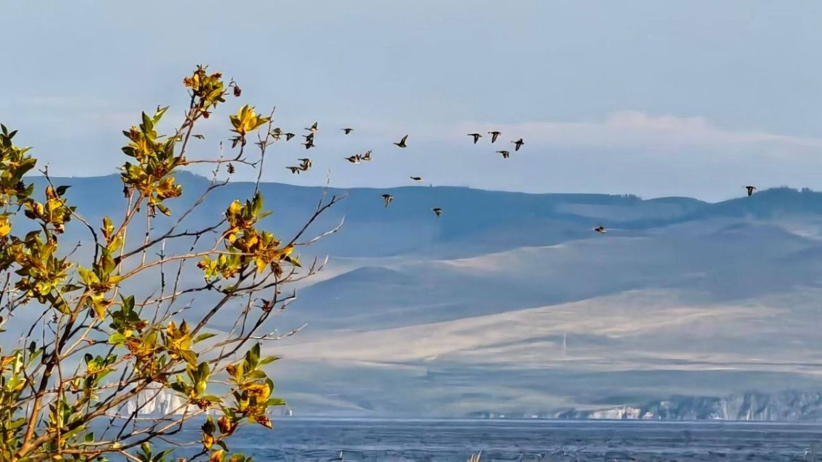 Малое Море: красота Байкала восхищает Малое Море: красота Байкала восхищает