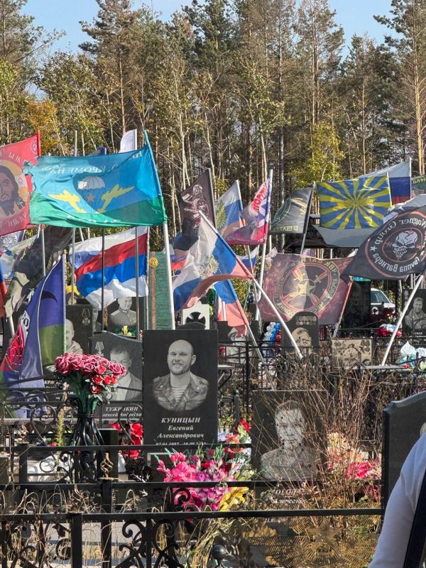 В Братске увековечили память героев СВО В Братске увековечили память героев СВО